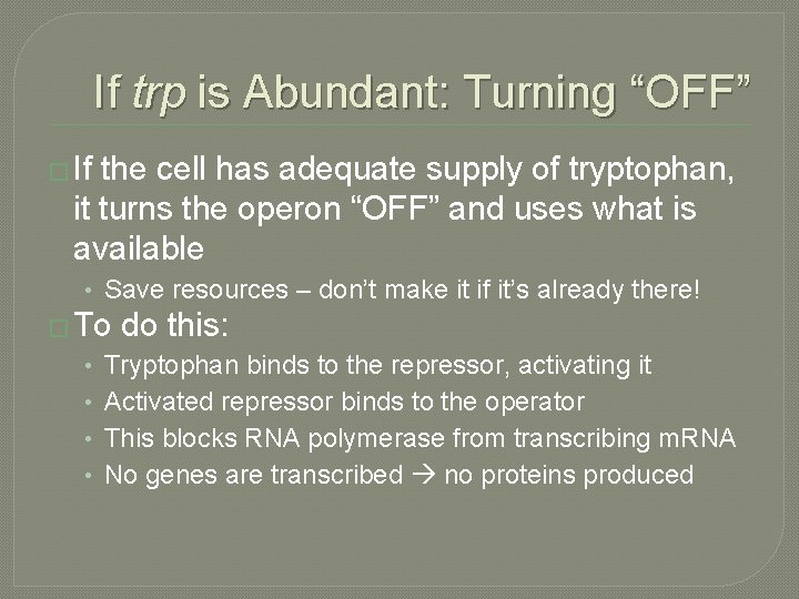 If trp is Abundant: Turning “OFF” � If the cell has adequate supply of