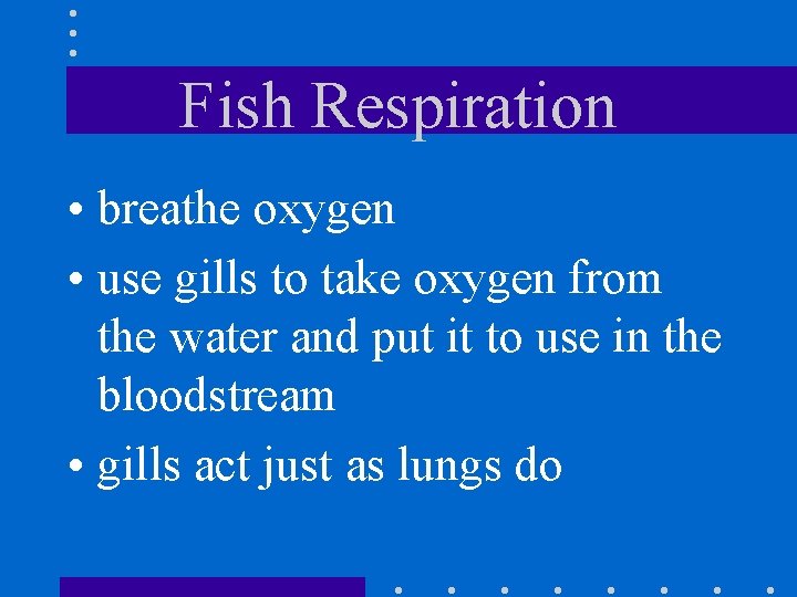 Fish Respiration • breathe oxygen • use gills to take oxygen from the water