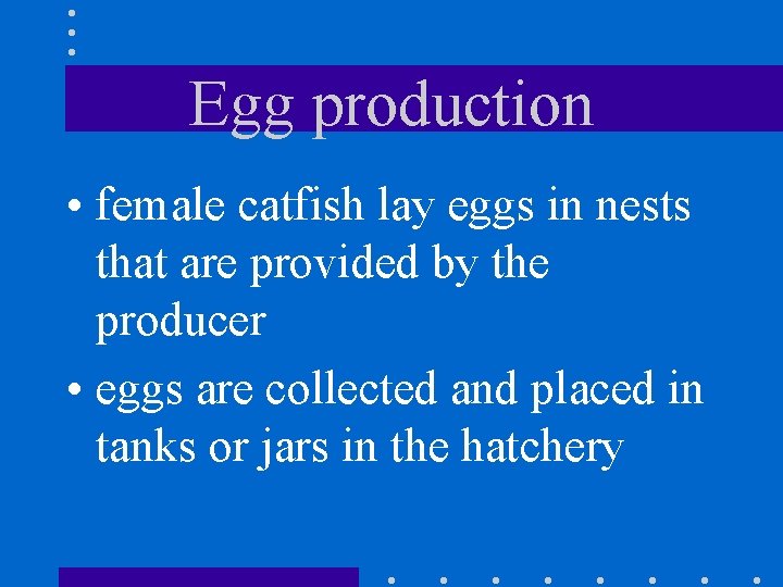 Egg production • female catfish lay eggs in nests that are provided by the