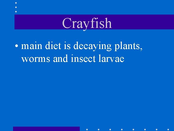 Crayfish • main diet is decaying plants, worms and insect larvae 
