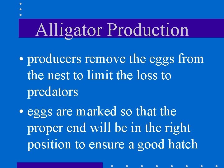 Alligator Production • producers remove the eggs from the nest to limit the loss