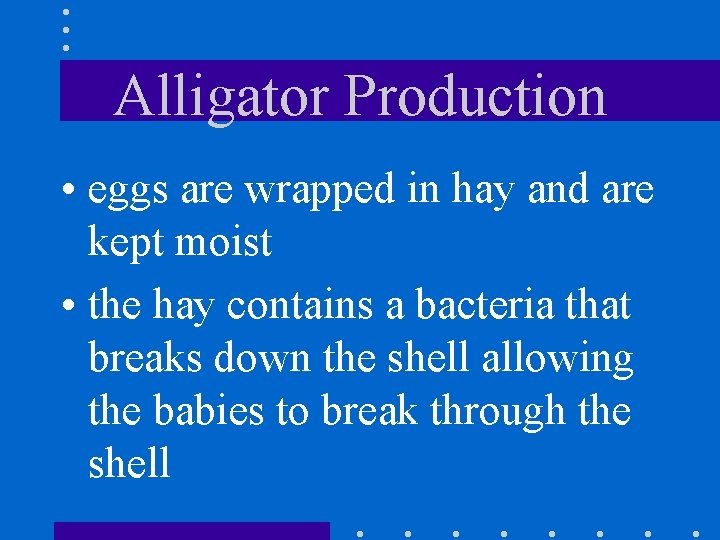 Alligator Production • eggs are wrapped in hay and are kept moist • the