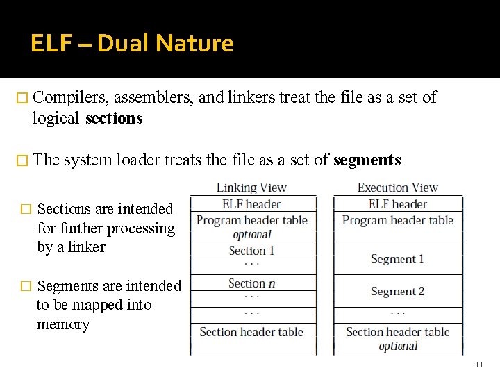 ELF – Dual Nature � Compilers, assemblers, and linkers treat the file as a