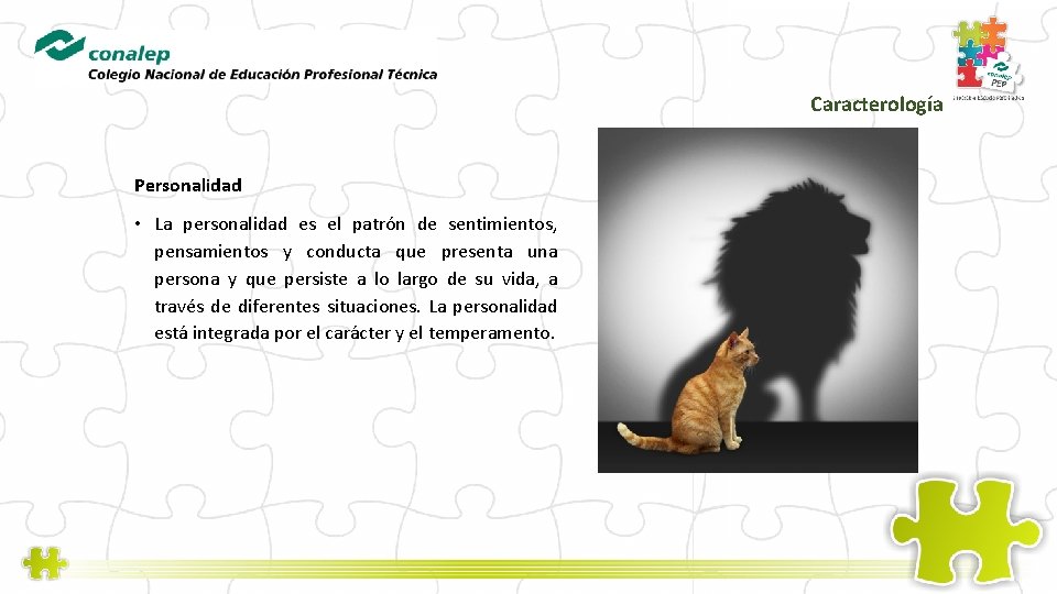 Caracterología Personalidad • La personalidad es el patrón de sentimientos, pensamientos y conducta que