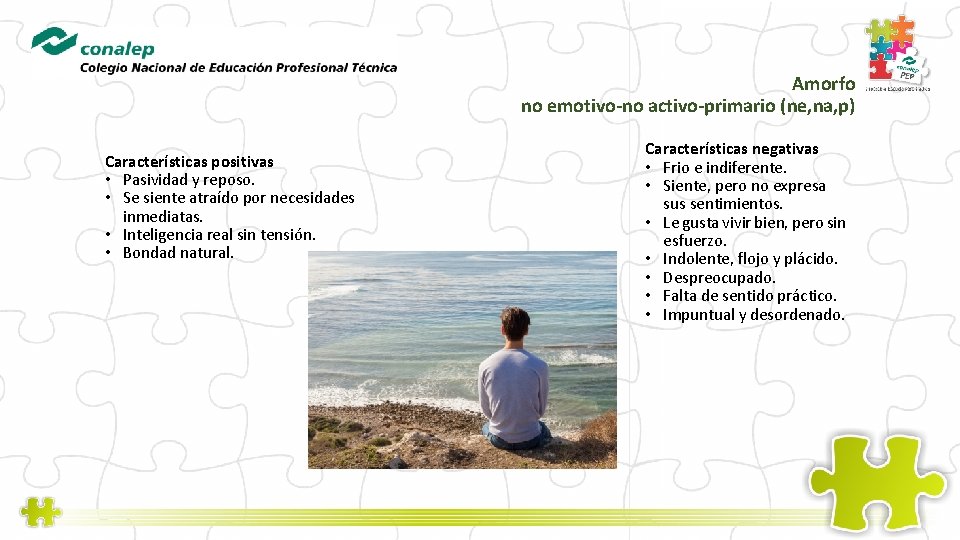 Amorfo no emotivo-no activo-primario (ne, na, p) Características positivas • Pasividad y reposo. •