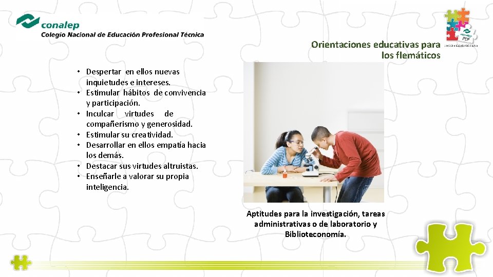 Orientaciones educativas para los flemáticos • Despertar en ellos nuevas inquietudes e intereses. •