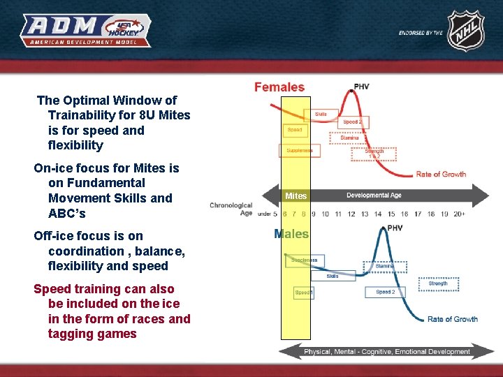The Optimal Window of Trainability for 8 U Mites is for speed and flexibility