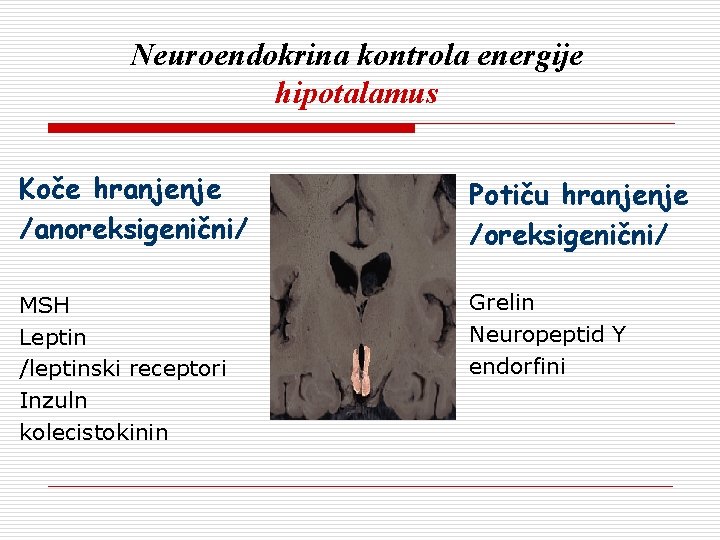 Neuroendokrina kontrola energije hipotalamus Koče hranjenje /anoreksigenični/ Potiču hranjenje /oreksigenični/ MSH Leptin /leptinski receptori