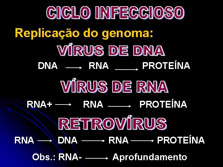 Replicação do genoma: DNA RNA+ RNA PROTEÍNA RNA DNA Obs. : RNA- PROTEÍNA RNA