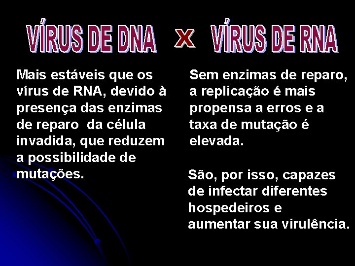 Mais estáveis que os vírus de RNA, devido à presença das enzimas de reparo