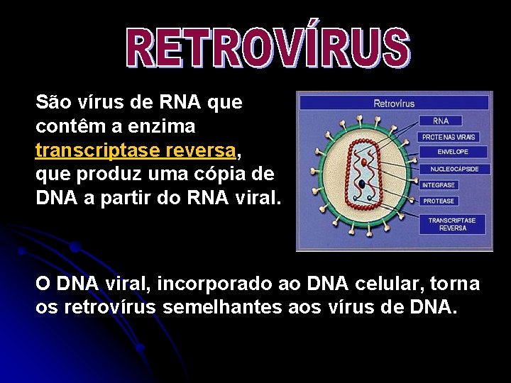 São vírus de RNA que contêm a enzima transcriptase reversa, que produz uma cópia