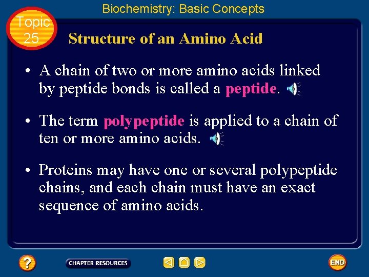 Topic 25 Biochemistry: Basic Concepts Structure of an Amino Acid • A chain of
