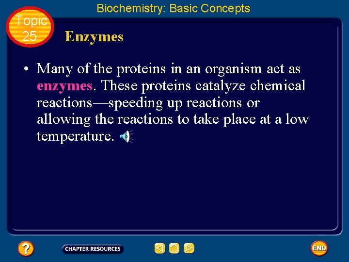 Topic 25 Biochemistry: Basic Concepts Enzymes • Many of the proteins in an organism