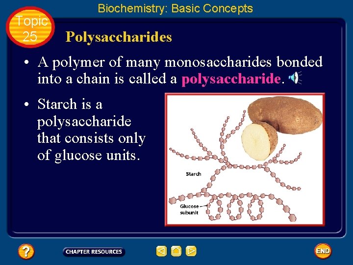 Topic 25 Biochemistry: Basic Concepts Polysaccharides • A polymer of many monosaccharides bonded into