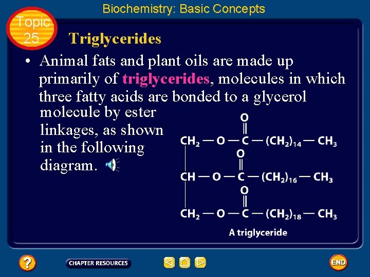 Topic 25 Biochemistry: Basic Concepts Triglycerides • Animal fats and plant oils are made