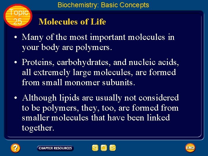 Topic 25 Biochemistry: Basic Concepts Molecules of Life • Many of the most important