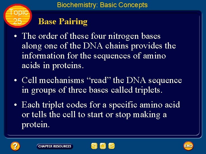 Topic 25 Biochemistry: Basic Concepts Base Pairing • The order of these four nitrogen