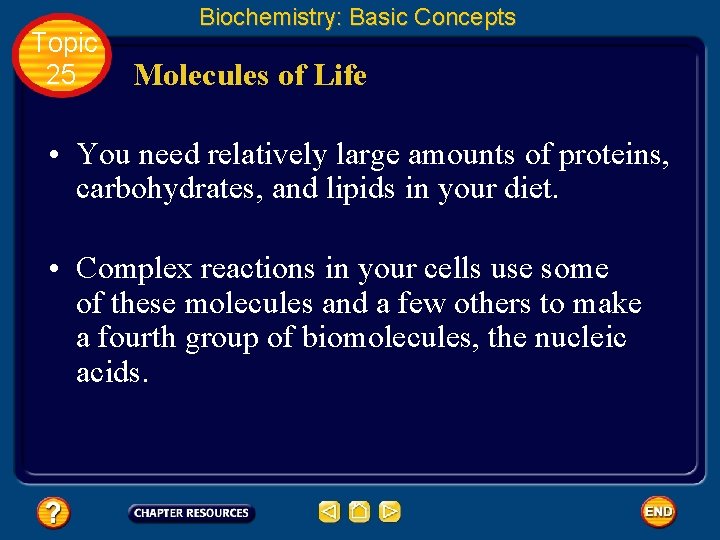 Topic 25 Biochemistry: Basic Concepts Molecules of Life • You need relatively large amounts