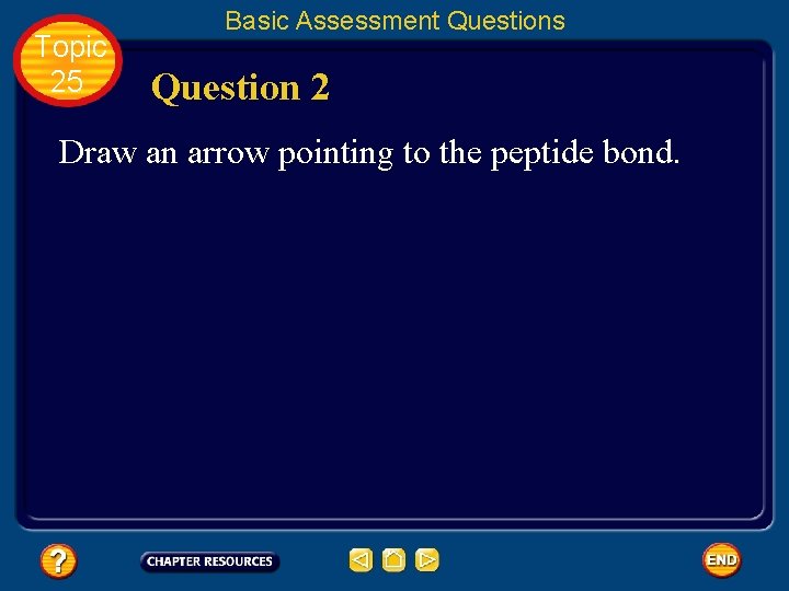 Topic 25 Basic Assessment Questions Question 2 Draw an arrow pointing to the peptide
