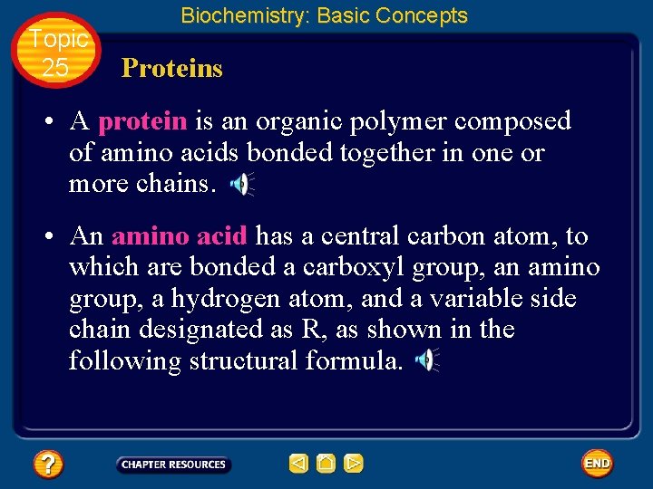 Topic 25 Biochemistry: Basic Concepts Proteins • A protein is an organic polymer composed