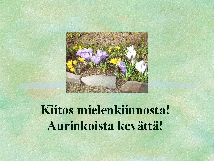 Kiitos mielenkiinnosta! Aurinkoista kevättä! 