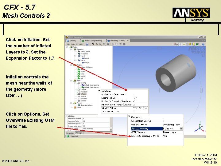 CFX - 5. 7 Mesh Controls 2 Workshop Click on Inflation. Set the number