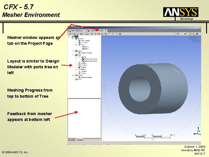 CFX - 5. 7 Mesher Environment Workshop Mesher window appears as tab on the