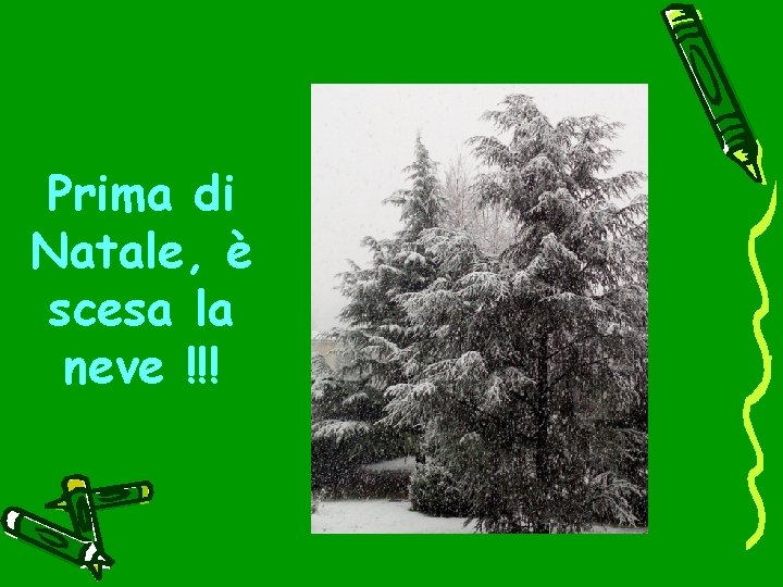 Prima di Natale, è scesa la neve !!! 