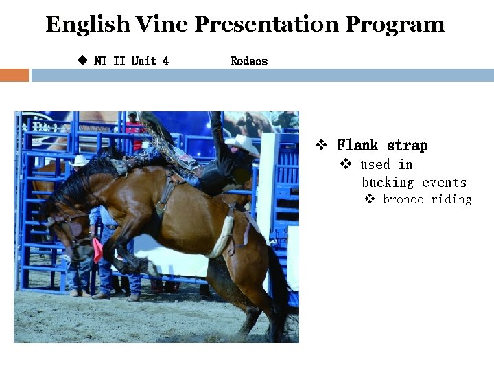 English Vine Presentation Program u NI II Unit 4 Rodeos v Flank strap v