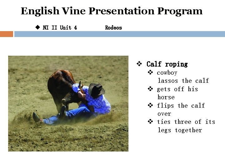 English Vine Presentation Program u NI II Unit 4 Rodeos v Calf roping v