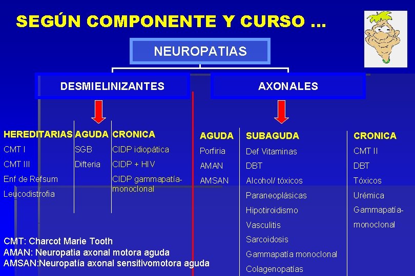 SEGÚN COMPONENTE Y CURSO … NEUROPATIAS DESMIELINIZANTES HEREDITARIAS AGUDA CRONICA AXONALES AGUDA SUBAGUDA CRONICA