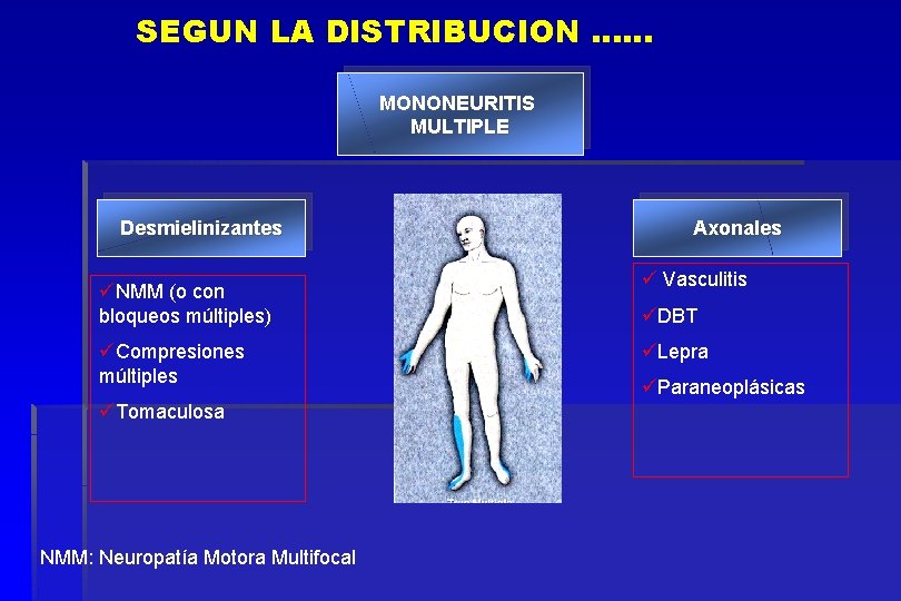 SEGUN LA DISTRIBUCION …… MONONEURITIS MULTIPLE Desmielinizantes üNMM (o con bloqueos múltiples) üCompresiones múltiples