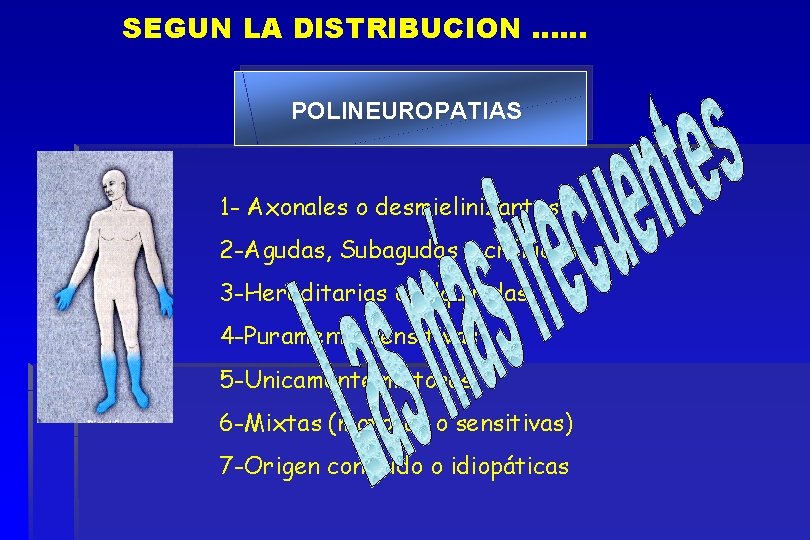 SEGUN LA DISTRIBUCION …… POLINEUROPATIAS 1 - Axonales o desmielinizantes 2 -Agudas, Subagudas o