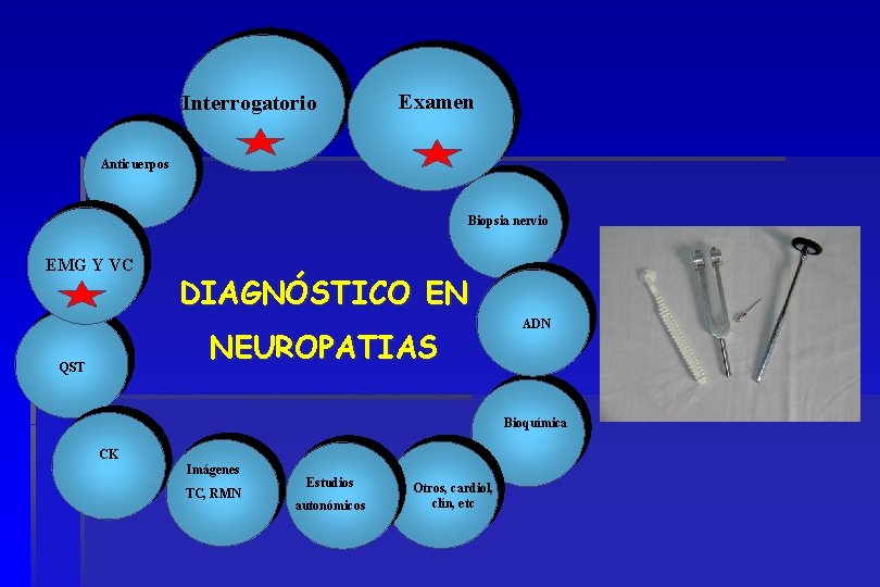 Interrogatorio Examen Anticuerpos Biopsia nervio EMG Y VC DIAGNÓSTICO EN NEUROPATIAS QST ADN Bioquímica