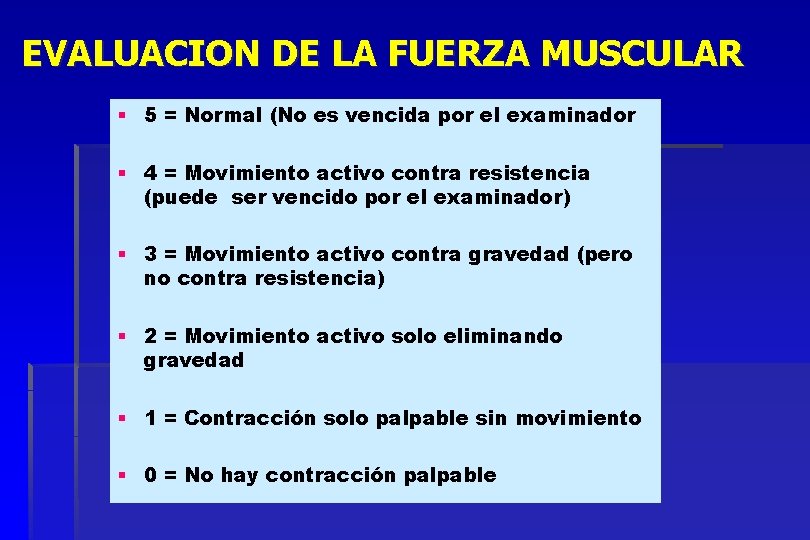 EVALUACION DE LA FUERZA MUSCULAR § 5 = Normal (No es vencida por el