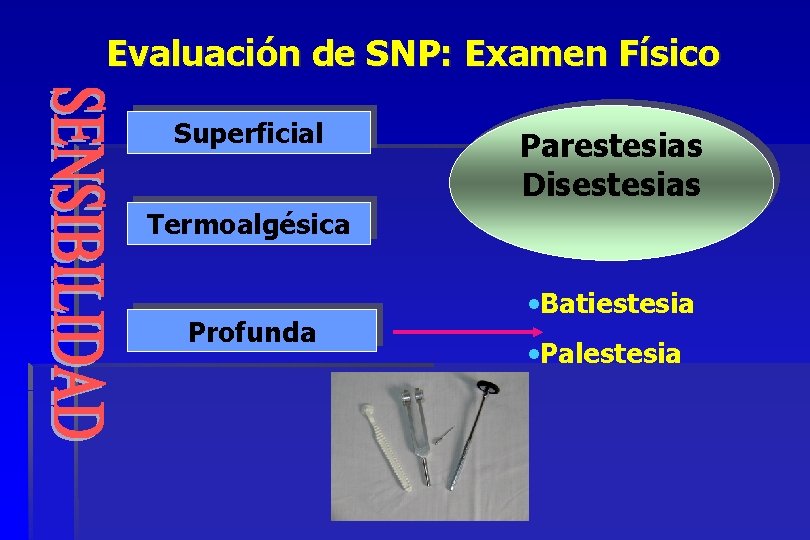 Evaluación de SNP: Examen Físico Superficial Parestesias Disestesias Termoalgésica Profunda • Batiestesia • Palestesia