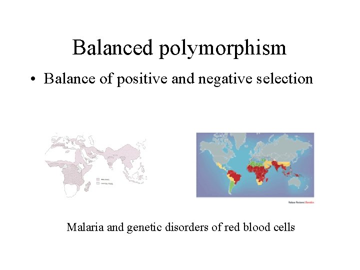Balanced polymorphism • Balance of positive and negative selection Malaria and genetic disorders of