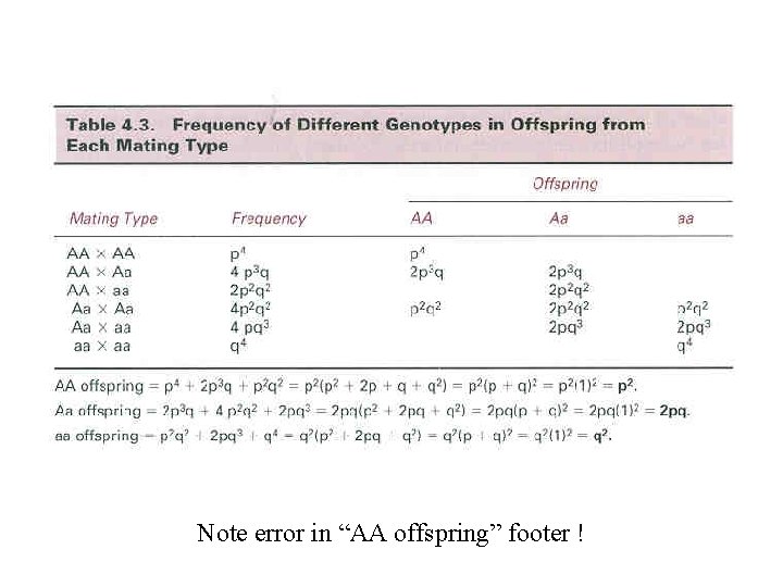 Note error in “AA offspring” footer ! 