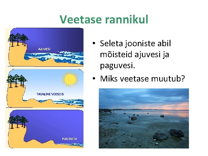 Veetase rannikul • Seleta jooniste abil mõisteid ajuvesi ja paguvesi. • Miks veetase muutub?