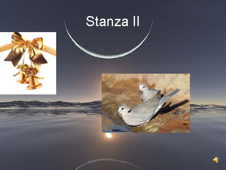 Stanza II 