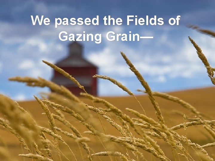 We passed the Fields of Gazing Grain— 
