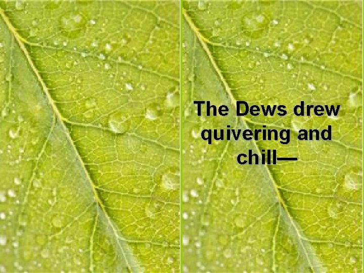 The Dews drew quivering and chill— 