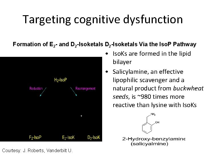 Targeting cognitive dysfunction Formation of E 2 - and D 2 -Isoketals Via the