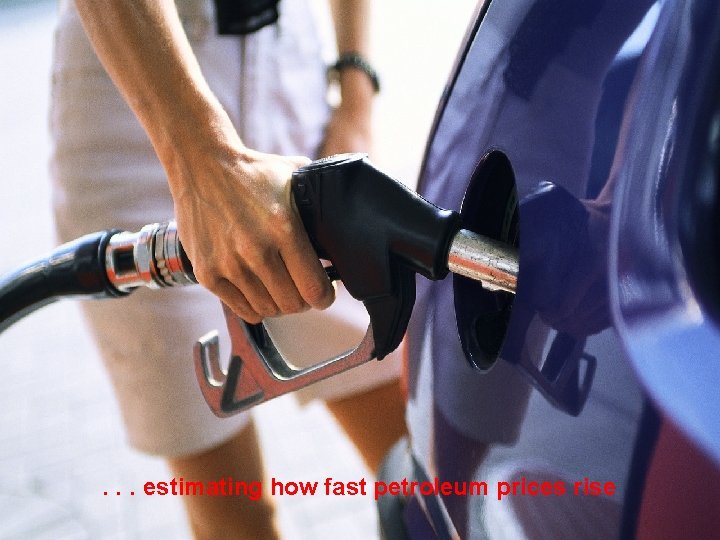 . . . estimating how fast petroleum prices rise 
