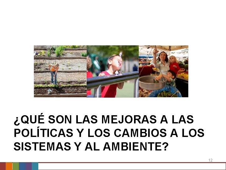 ¿QUÉ SON LAS MEJORAS A LAS POLÍTICAS Y LOS CAMBIOS A LOS SISTEMAS Y