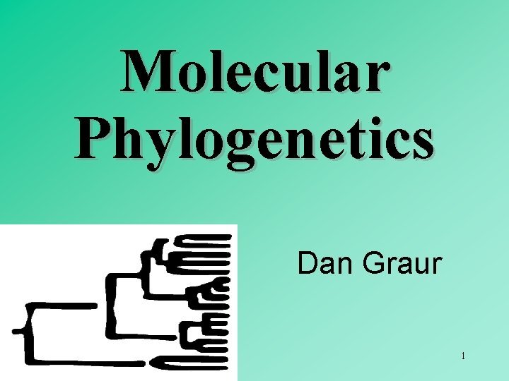 Molecular Phylogenetics Dan Graur 1 