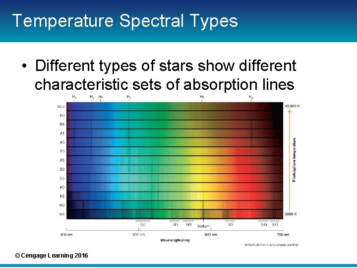 Temperature Spectral Types • Different types of stars show different characteristic sets of absorption