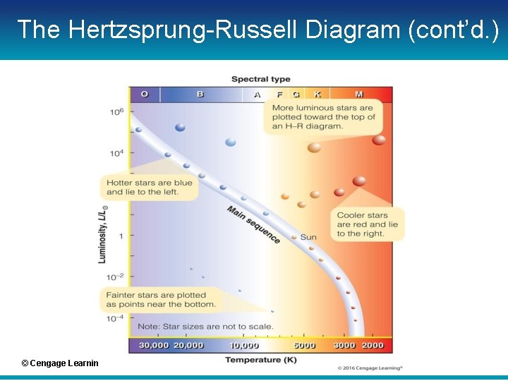 The Hertzsprung-Russell Diagram (cont’d. ) © Cengage Learning 2016 