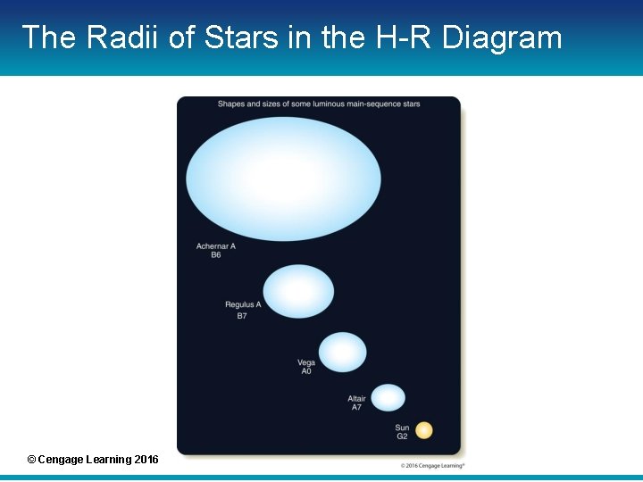 The Radii of Stars in the H-R Diagram © Cengage Learning 2016 