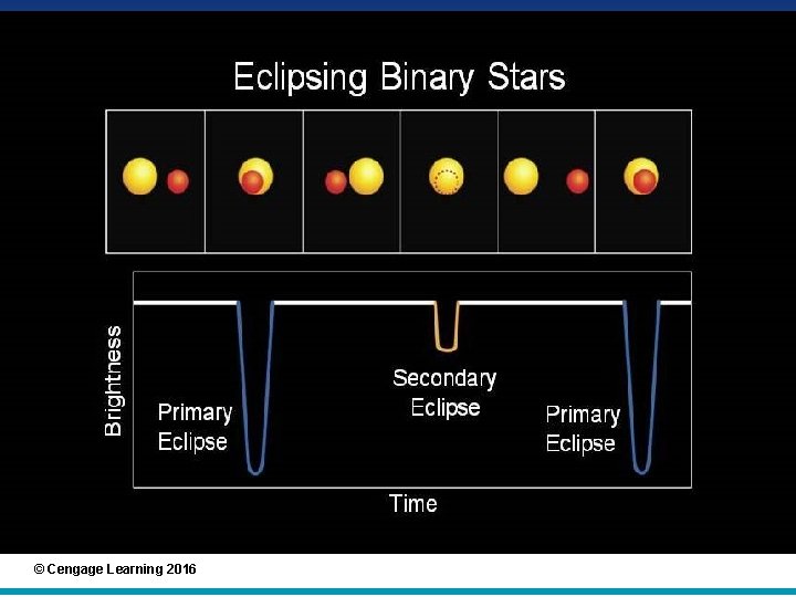 © Cengage Learning 2016 